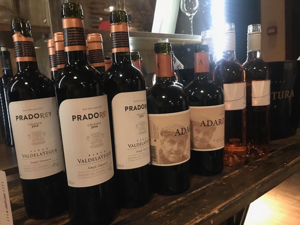 Vinos PradoRey en Plasencia