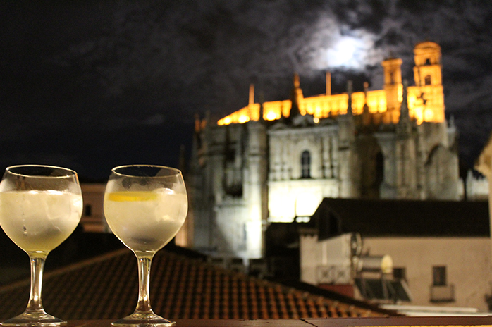 terraza_mirador_catedral_plasencia_palaciocarvajalgiron