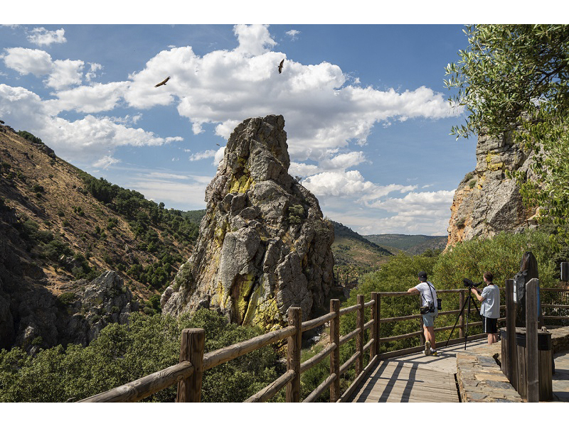 visitas-imprescindibles-norte-extremadura_0005_m_monfrague_25-2