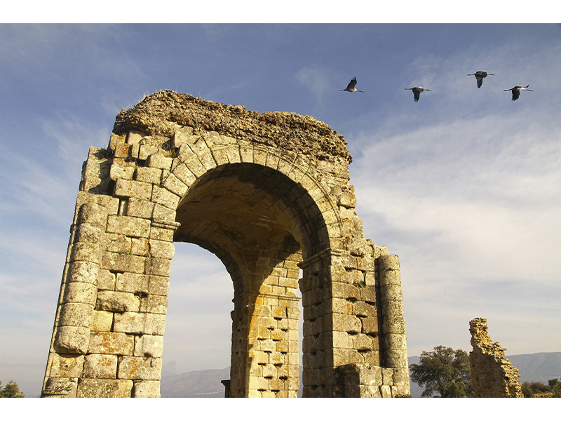 visitas-imprescindibles-norte-extremadura_0007_m_ciudad_romana_caparra_11-2